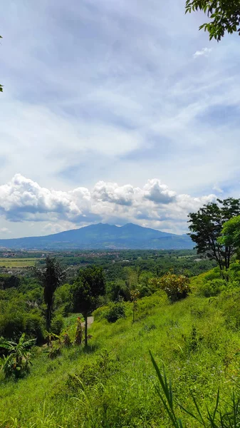 Endonezya 'nın Cikancung bölgesinde dağ geçmişine sahip bir yamaç.