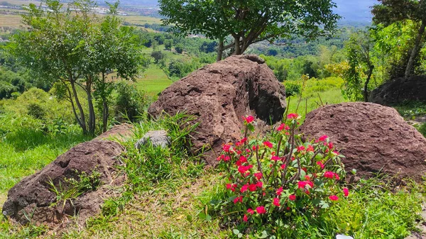 インドネシアのチカンプン地方の丘の上の庭を飾る大きな岩 — ストック写真