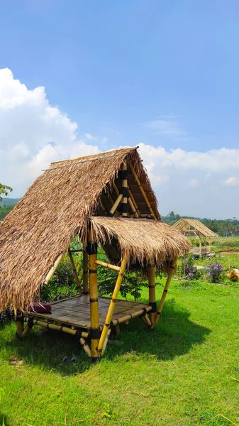 Endonezya 'nın Cikancung bölgesinde çimenli bir bahçenin ortasında estetik bir kulübe.