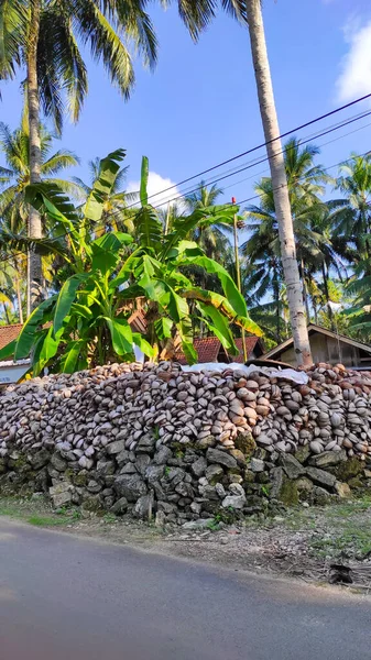 Pile Coconut Shell Residue Yard House Pangandaran Area Indonesia — Stock Photo, Image