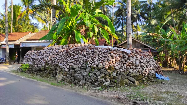 Pile Coconut Shell Residue Yard House Pangandaran Area Indonesia — Fotografia de Stock