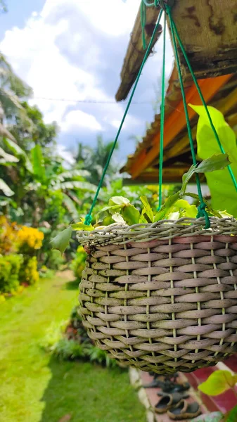 Pangandaran bölgesinde, Endonezya 'da evin bahçesinde asılı duran bambu sepeti.