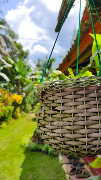 Pangandaran bölgesinde, Endonezya 'da evin bahçesinde asılı duran bambu sepeti.