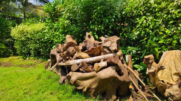 Pangandaran bölgesinde, Endonezya 'da bir evin bahçesinde kurumuş odun yığını.