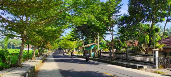 Банджар Западная Ява Индонезия Июня 2022 Года Тенистая Автомагистраль Деревьями — стоковое фото