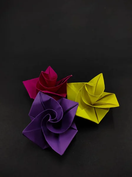 Origami Petali Rosa Tre Colori Isolati Sfondo Nero Non Focus — Foto Stock