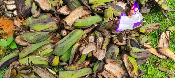 Σωρός Από Φλούδες Μπανάνας Ένα Λιβάδι Στην Περιοχή Pangandaran Ινδονησία — Φωτογραφία Αρχείου