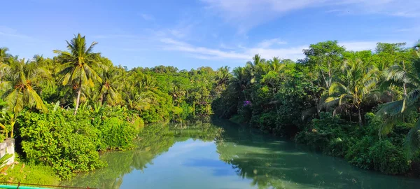 View River Estuary Bridge Surrounded Coconut Trees Pangandaran Area Indonesia — Stock Photo, Image