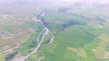 Endonezya 'nın Cicalengka bölgesindeki en alt vadideki küçük nehrin hava fotoğrafçılığı 