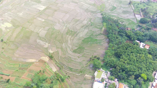 Abstract Defocused Aerial View Green Rice Fields Hillside Cicalengka Region — Φωτογραφία Αρχείου