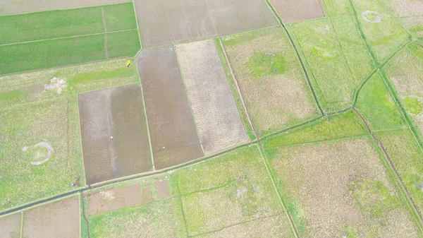 Aerial Photography Map Rice Fields Agricultural Area Majalaya Indonesia — Fotografia de Stock