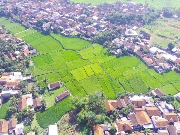 Aerial Photography Mapping Area Rice Fields Surrounding Residential District Cikancung — Stok Foto