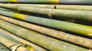 Abstract Defocused background of a pile of young bamboo that has been cut and dried in the sun in the Cikancung area - Indonesia. Not Focus