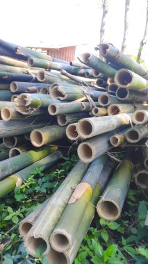 Abstract Defocused background of a pile of young bamboo that has been cut and dried in the sun in the Cikancung area - Indonesia. Not Focus
