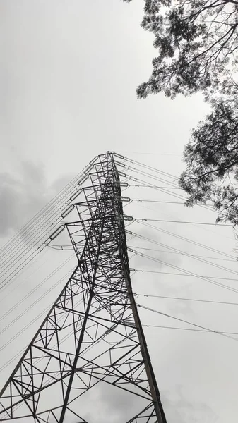 Black and white photo of a power supply tower and tree branches in the Cikancung area - Indonesia