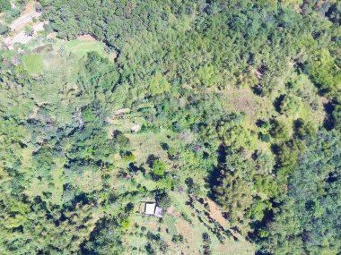 Abstract Defocused Blurred Background Aerial photography landscapes of forests and mountain slopes in the Cikancung area - Indonesia. Not Focus