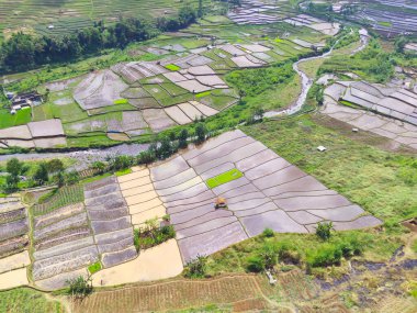 Abstract Defocused Blurred Background Aerial photography scenery of terraced rice fields in a valley in the Cicalengka area - Indonesia, Not Focus