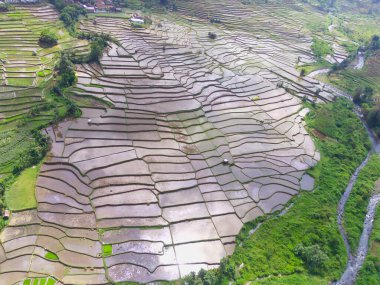 Abstract Defocused Blurred Background Aerial photography scenery of terraced rice fields in a valley in the Cicalengka area - Indonesia, Not Focus