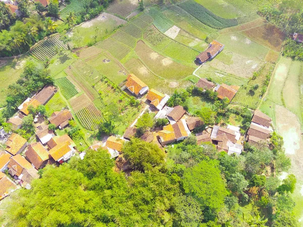 概要インドネシア キカンプンの住宅地周辺の広大な水田の空中写真 フォーカスじゃない — ストック写真