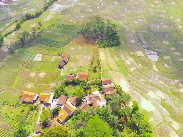 概要インドネシア キカンプンの住宅地周辺の広大な水田の空中写真 フォーカスじゃない — ストック写真