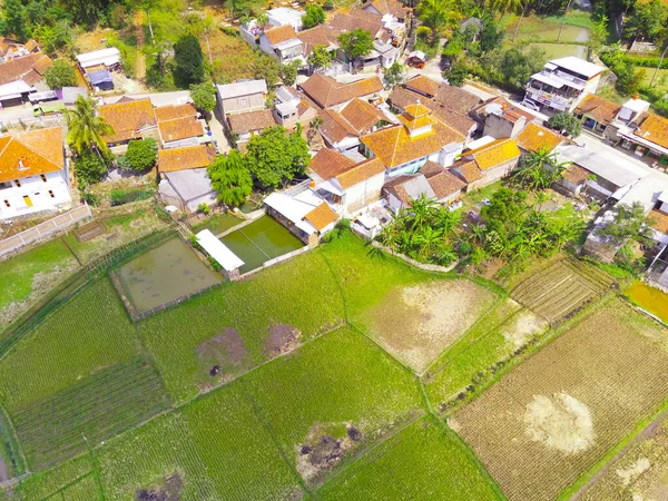 概要インドネシア キカンプンの住宅地周辺の広大な水田の空中写真 フォーカスじゃない — ストック写真