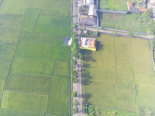 Аннотация Defocused Blurred Background Aerial Rice Fields Factories Industrial Areas — стоковое фото