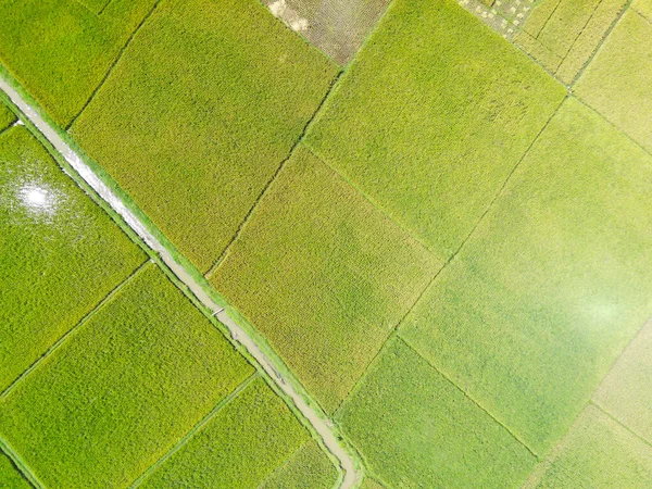 Abstract Defokussierter Verschwommener Hintergrund Landwirtschaftliche Antennenfelder Die Die Meisten Gebiete — Stockfoto