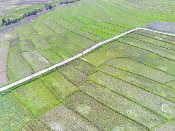 アブストラクト赤外線背景Cikancung地域 インドネシアの暑い日の農地の空中写真 フォーカスじゃない — ストック写真