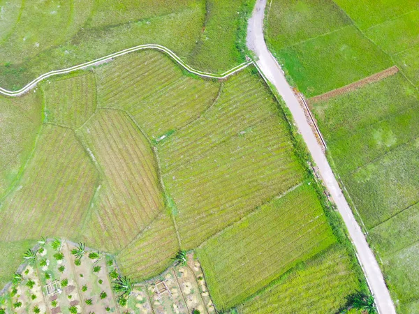 アブストラクト赤外線背景Cikancung地域 インドネシアの暑い日の農地の空中写真 フォーカスじゃない — ストック写真