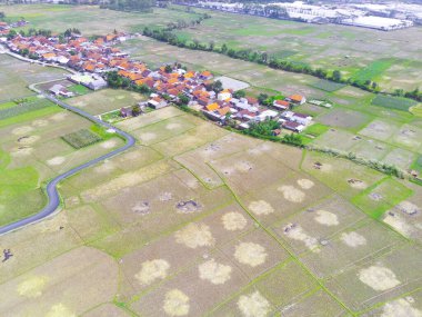 Çikancung bölgesine yani Endonezya 'ya hükmeden soyut Odaklanamayan Bulanık Arkaplan Havacılık tarım arazisi. Odaklanma
