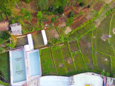 Endonezya 'nın Cikancung bölgesindeki pirinç tarlasının kenarındaki bir yüzme havuzunun bulanık arkaplan fotoğrafı. Odaklanma
