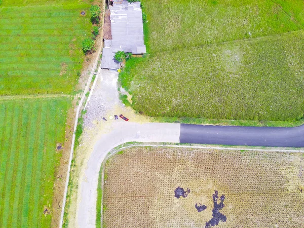 要旨インドネシアのキカンプン地域の水田の真ん中にある3方向の交差点の空中写真 フォーカスじゃない — ストック写真
