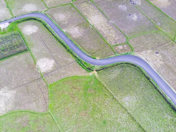 要旨赤外線背景Cikancung地域 インドネシア の村と村を結ぶ田んぼの真ん中を空中で進む道 フォーカスじゃない — ストック写真