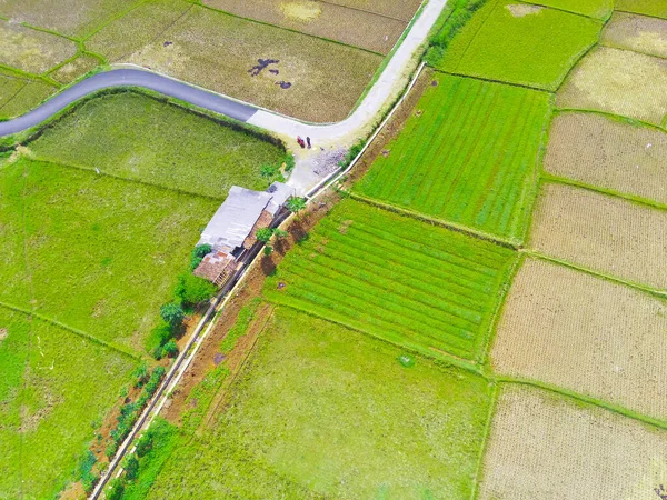 노골적 Defocused Blurred Background Aerial Photo 시칸둥 지역의 중앙에 교차로 — 스톡 사진