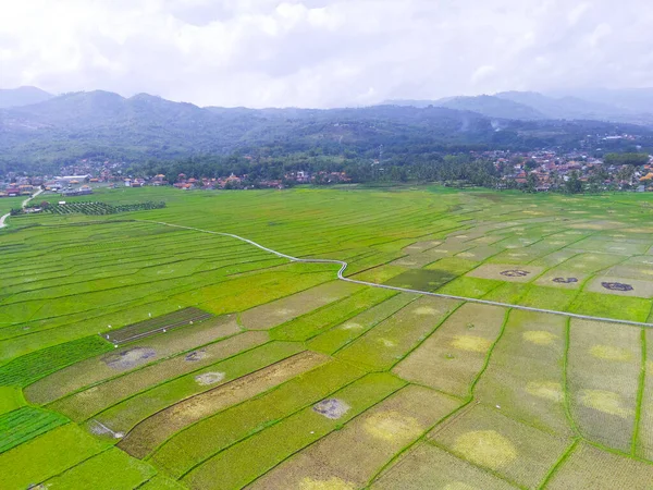 在印度尼西亚的Cikancung地区占主导地位的空中农业用地的背景模糊不清 不集中精神 — 图库照片
