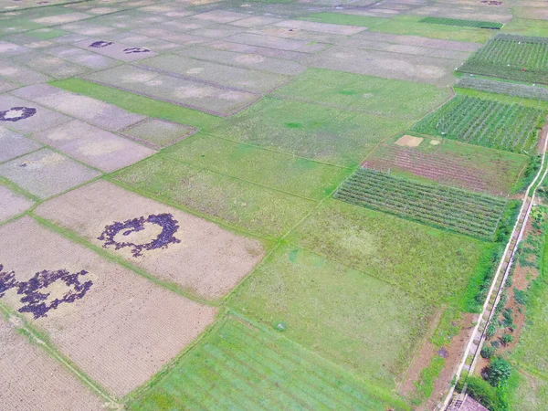 Resumo Desfocado Plano Fundo Desfocado Terras Agrícolas Aéreas Que Dominam — Fotografia de Stock