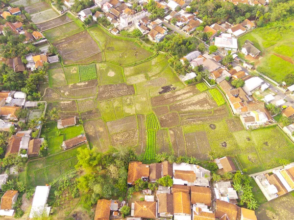 概要住宅が密集し 水田に囲まれた空中シカンヌン地域 フォーカスじゃない — ストック写真