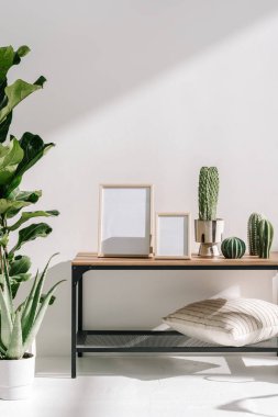 Saksı bitkileri konsepti. Boş alanı olan resim çerçevesinin dikey görüntüsü ya da tahta masanın üzerindeki kaktüsün yanındaki maket. Yastıklı ve dekoratif minimalistik evdeki parlak oturma odası.