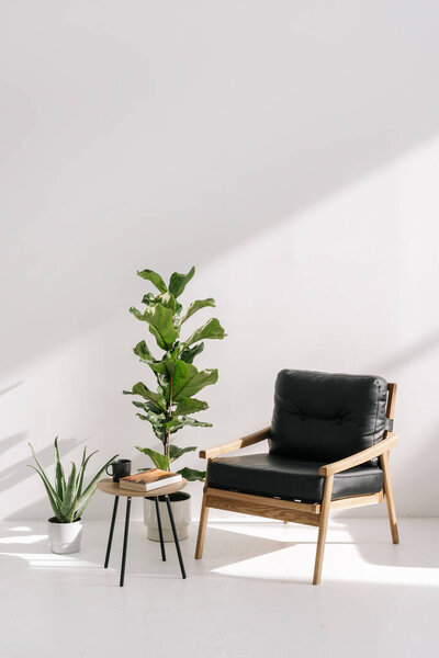 Interior composition. Vertical view of black leather armchairs standing near houseplants and coffee table with cup and book. Concept of houseplants, greenery and home decor or design in modern house