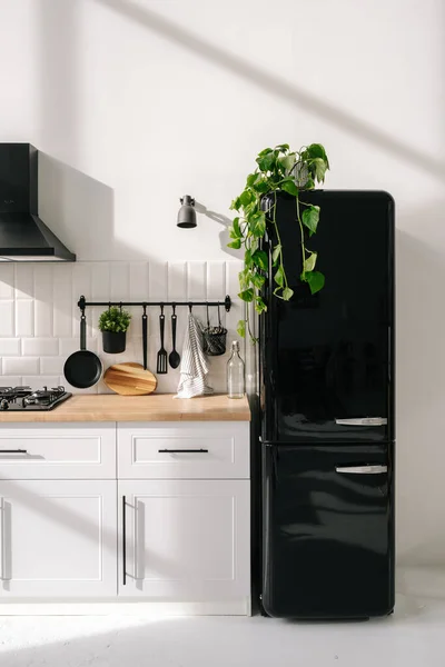 Черный Блестящий Холодильник Скандинавском Стиле Кухни Мебель Белой Кухни Висячими — стоковое фото