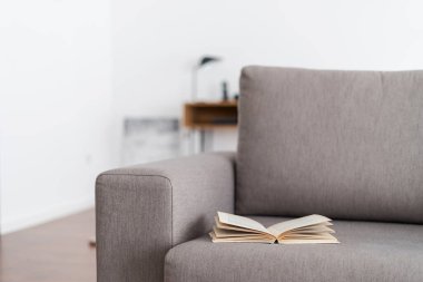 Okuma zamanı. Gri kanepede sergilenen açık kağıt kapak üzerine seçici bir odaklanma. Rahat evdeki ergonomik griye yakından bak. Eğlence, rahatlama konsepti