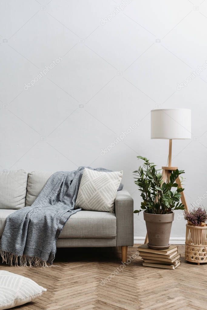 Plaid and cushion on comfort sofa close to flooring lamp and zamioculcas plant in flowerpot at living room. Vertical view of retro furniture in apartment against white copy space wall