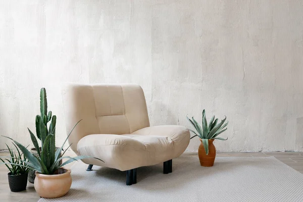 Konzept Der Einrichtung Von Wohnzimmern Großer Bequemer Sessel Art Déco — Stockfoto