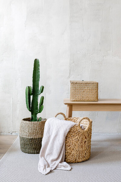 Vertical shot of small storage box for clothes on wooden bench close to wicker basket with cozy plaid. Potted cactus near coffee table in living room, standing against light grey wall with copy space