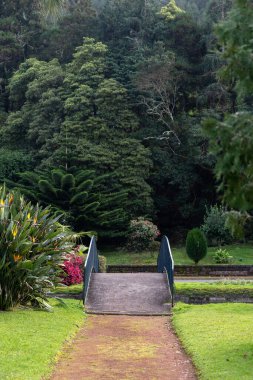 Nehrin üzerindeki küçük köprüye giden toprak yol. Şehir parkındaki orman ya da halk botanik bahçesi. Sahne doğası, çevre kavramı ve doğal park alanı