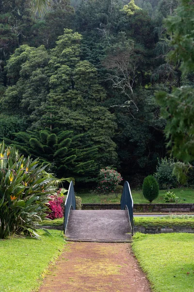 Nehrin üzerindeki küçük köprüye giden toprak yol. Şehir parkındaki orman ya da halk botanik bahçesi. Sahne doğası, çevre kavramı ve doğal park alanı