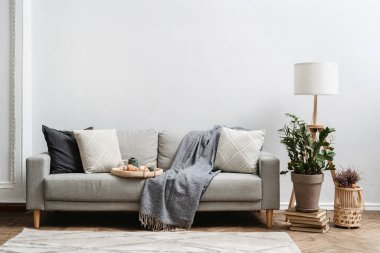 Geleneksel Çin çayıyla kahvaltı tepsisi ve kanepenin üzerinde ev yapımı kruvasan, ekose ve yastıkların yanında. Retro tarzı mobilyalar, eski moda lamba ve oturma odasındaki klasik ev dekoru.