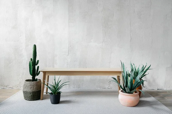 Üres Modern Pad Áll Szőnyegen Cserepes Növények Mellett Dohányzóasztal Kaktusz — Stock Fotó