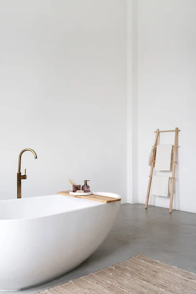 Vertical Shot Classic Bathtub Modern Apartment Minimalist Home Decor Part — Foto de Stock