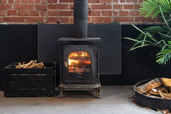 Natural Fire Fireside Glass Door Modern Interior Design Concept Heating — Stockfoto